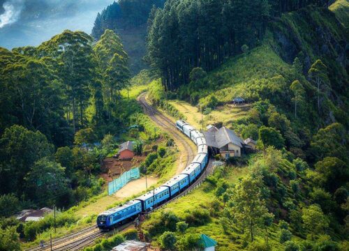 9 Nights 10 Days Tour - City Tours, Shopping