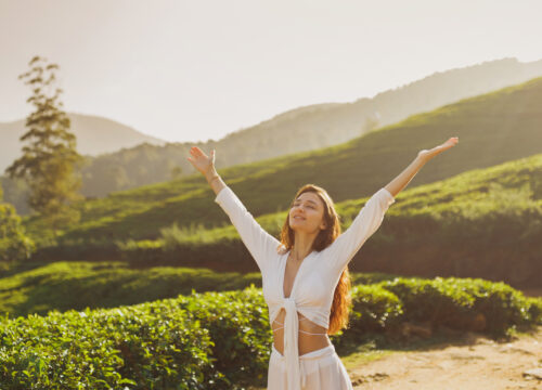 Misty Highlands Retreat, Nuwara Eliya