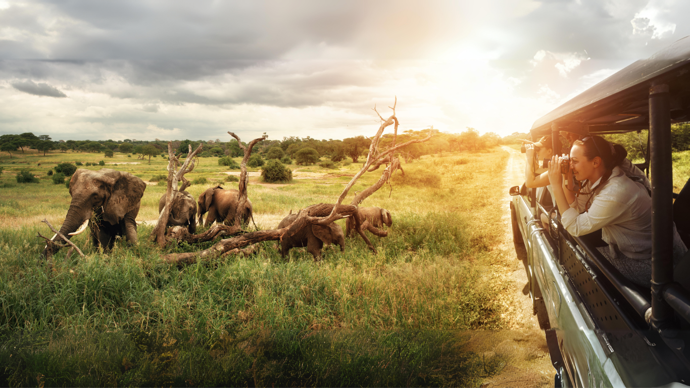 6 Nights 7 Days Tour - Wild, Culture & City Tours