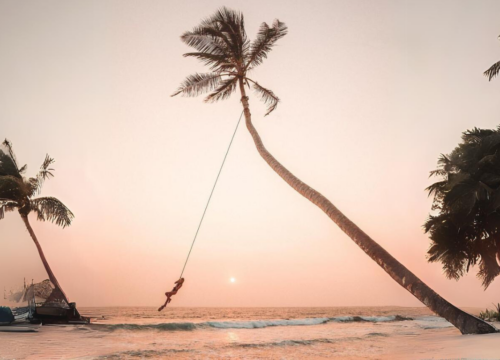 Secluded Beach Relaxation