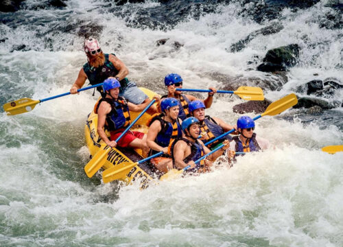 Adventure in the Rainforest, Kitulgala