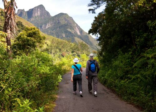 Historical Exploration